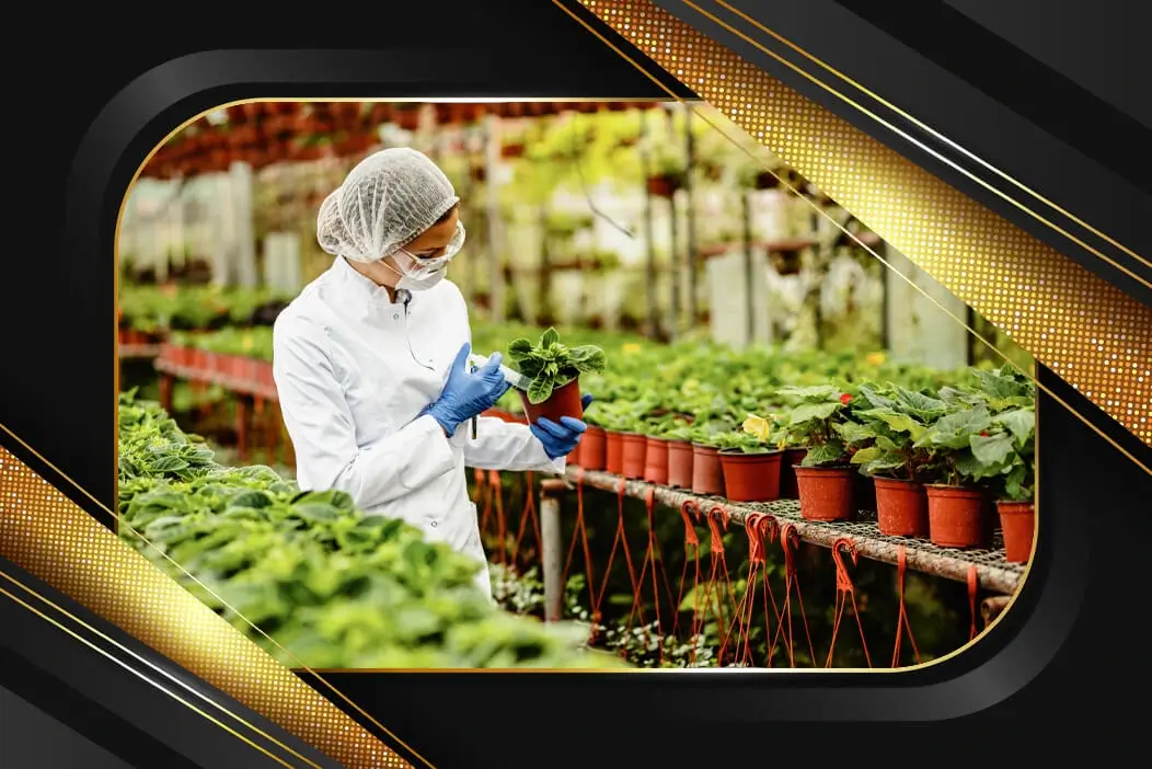 Doctor injecting plant to promote health